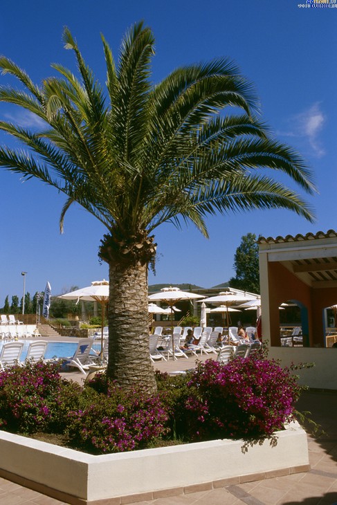  Club Med Cargese,  ()