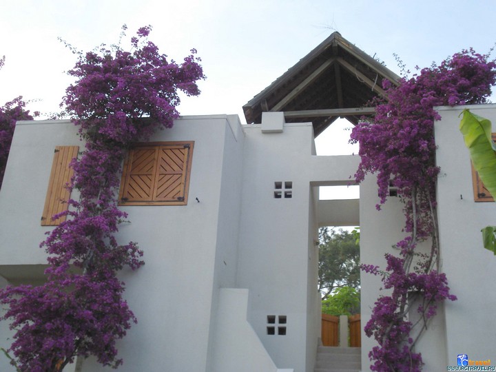  Club Med Palmiye, 