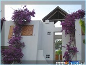  Club Med Palmiye, 