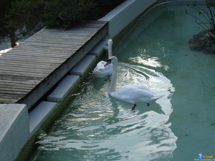 Club Med Palmiye, 