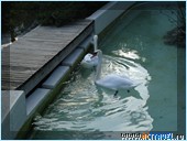  Club Med Palmiye, 