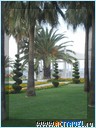  Club Med Palmiye, 