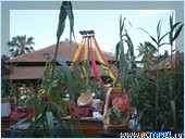  Club Med Palmiye, 