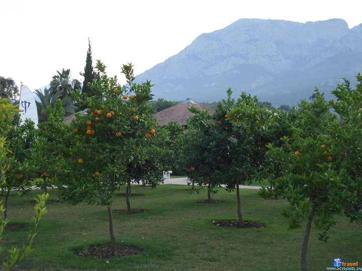  Club Med Palmiye, 