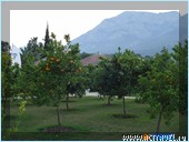  Club Med Palmiye, 