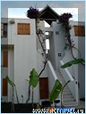  Club Med Palmiye, 
