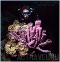 .  Mataking The Reef Dive Resort,  ,  , 