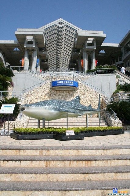   . , , Okinawa Churaumi Aquarium