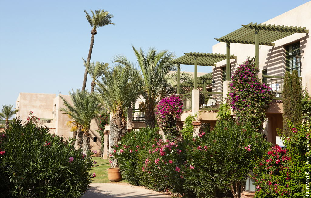   Club Med Marrakech La Palmeraie