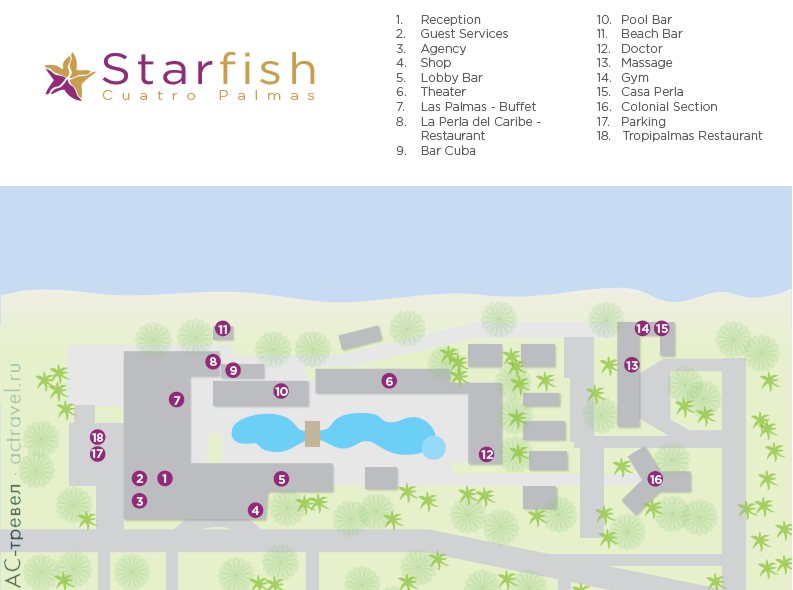   Starfish Cuatro Palmas