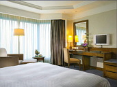  Hotel Nikko Hongkong, 