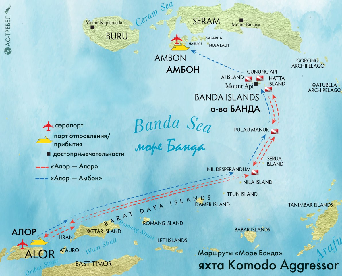    Komodo Aggressor   
