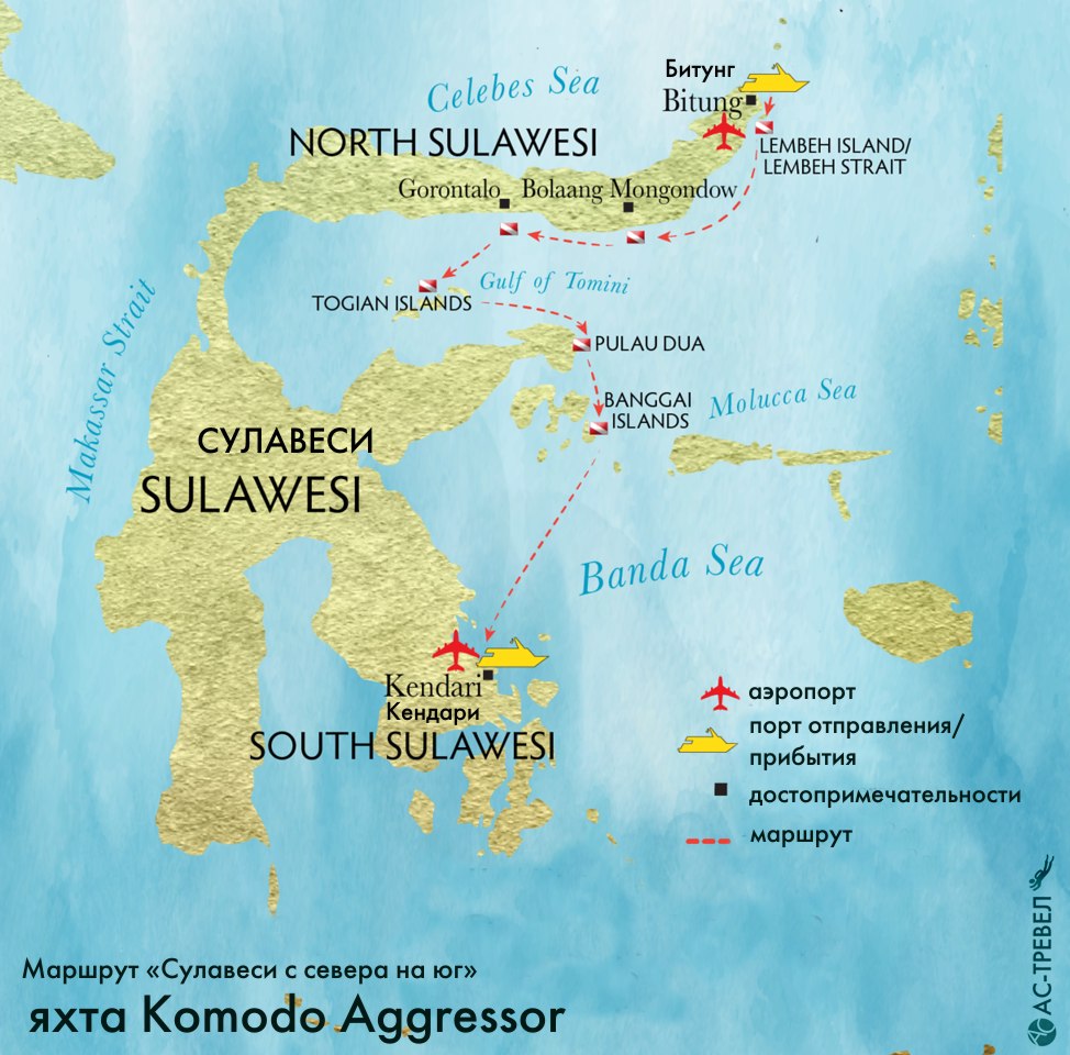    Komodo Aggressor  