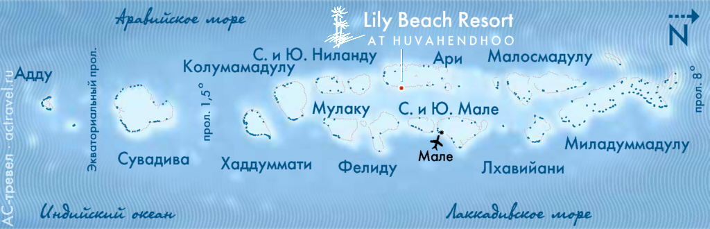   Lily Beach    