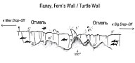  - Fern's Wall (Turtle Wall)
