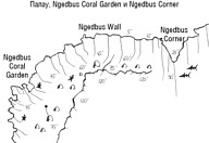  - Ngedebus Coral Garden  Ngedebus Corner