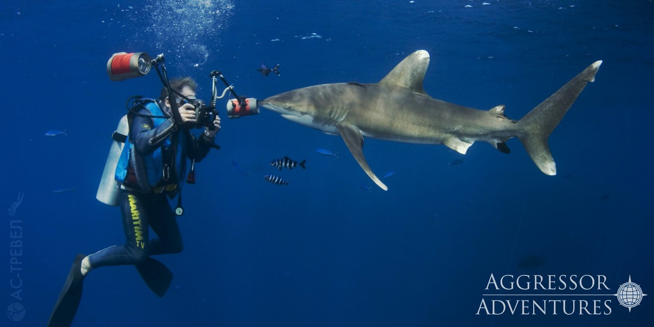         Red Sea Aggressor V